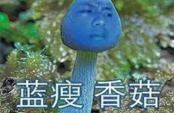 “藍瘦香菇”被搶注：深圳藍瘦香菇實業成立，注冊資本50萬