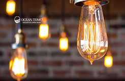 專訪智慧資本商業銀行?公司——Ocean Tomo