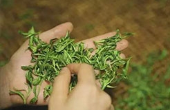 重磅！首批中國100個地理標志受歐盟保護，歐盟授權正式簽署中歐地理標志協定