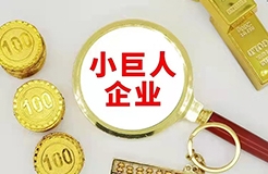《關于大力培育“專精特新”中小企業促進高質量發展的若干意見（公開征求意見稿）》全文！