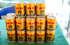 紅牛創始公司天絲集團參加第四屆外商投資企業知識產權行政保護交流會