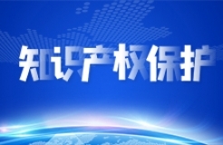 中國科協學會服務中心舉辦“加強知識產權保護  服務科技創新發展”專題訪談