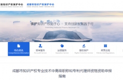 申報！知識產權師資助1000元/人，專利代理師，高級知識產權師資助5000元/人，正高級資助10000元/人