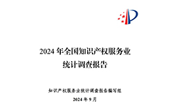 《2024年全國知識產權服務業統計調查報告》：知識產權從業人員人均營業收入28.9萬元/人｜附全文