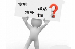 “.商標”、“.TM”，域名商標界的真假美猴王