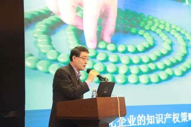 "產業國際化中的知識產權競爭與合作研討會"在深圳圓滿召開