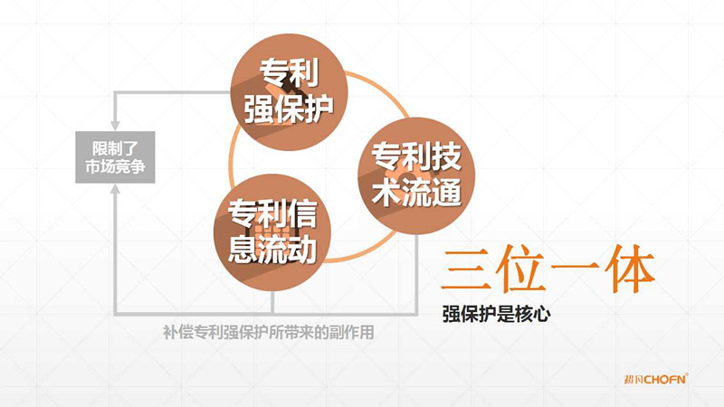 【GIPC】母洪：“沒有強保護，哪有運營”（附原稿PPT）