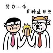 情人節！你收到的是“玫瑰”還是“月季”？