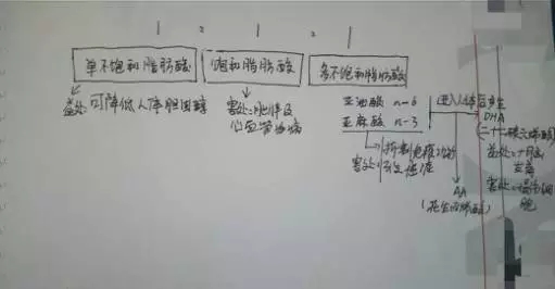 你以為的金龍魚1:1:1就是1:1:1嗎？