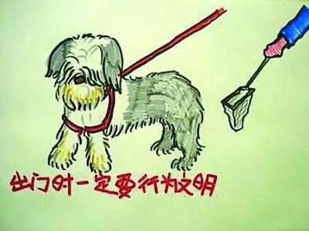 如何做一名合格的鏟屎官？