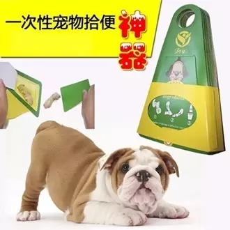 如何做一名合格的鏟屎官？