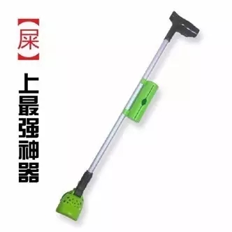如何做一名合格的鏟屎官？