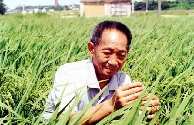 顛覆認知，除四大發明外，中國領先于世界的重大發明
