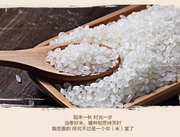 米、油、內褲……我被《三生三世》的衍生品震住了！