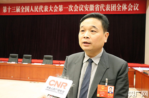 全國人大代表潘保春：漢字商標使用應納入強制標準！