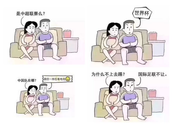 世界杯上的真球迷OR偽球迷！談對商標法上“相關公眾”的理解
