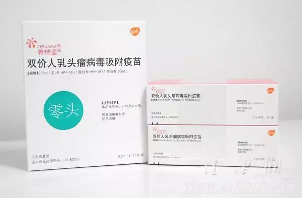 宮頸癌疫苗？NO！是HPV疫苗！應該打哪個？