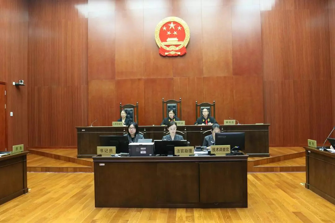 胎兒基因組測序計算機系統發明專利申請被駁回，香港中文大學訴稱該系統非疾病診療方法