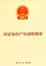 知識產權保護的浦東法院故事