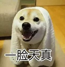 專利申請和心理學也有關系？