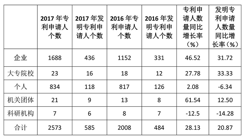 廣州市白云區2017年專利數據分析報告