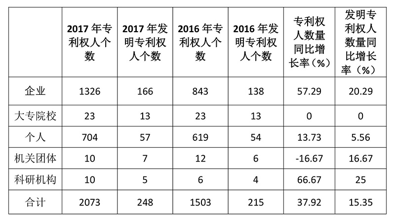 廣州市白云區2017年專利數據分析報告