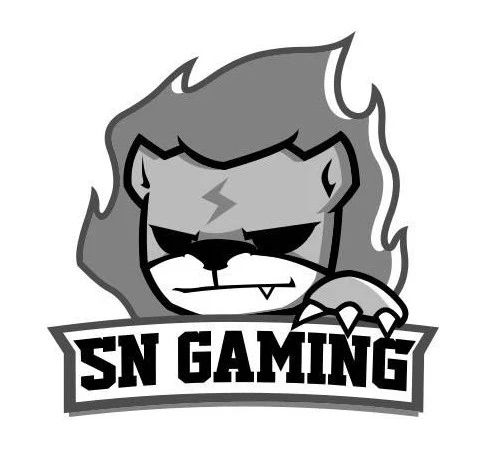 “Gaming”商標有不良影響駁回，到底是游戲還是賭博？（附判決書）