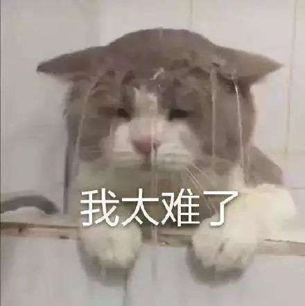 你的字體，侵權了嗎？