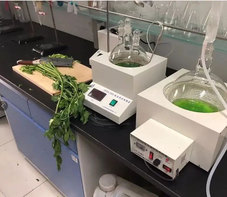 芹菜面膜已經申請專利，大蔥面膜還會遠嗎？