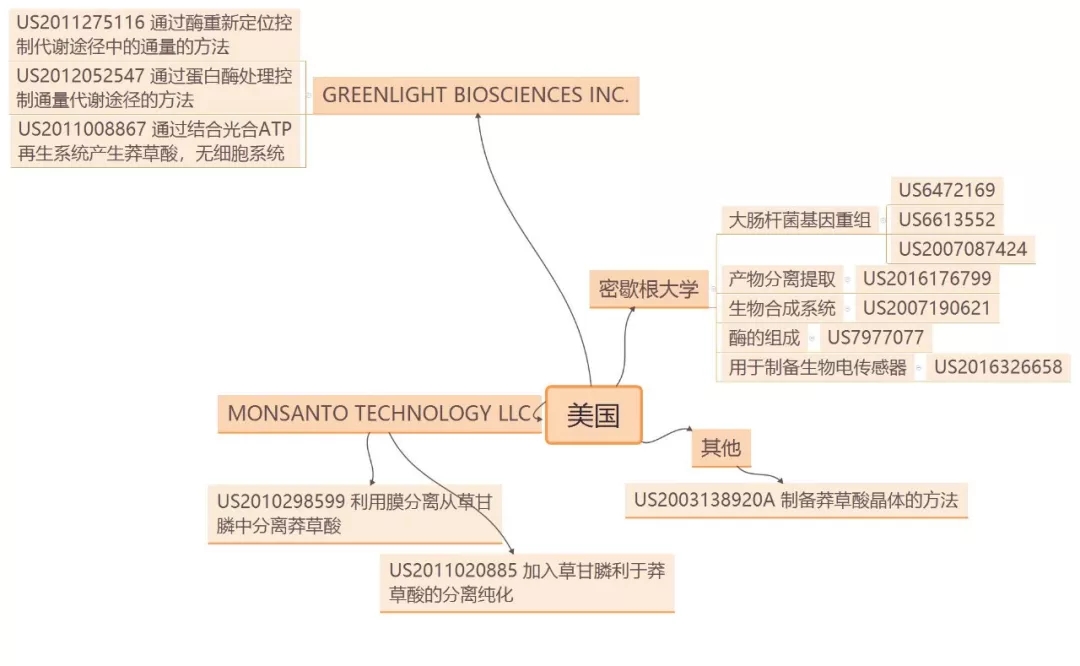 抗流感神器源起茴香八角？？？