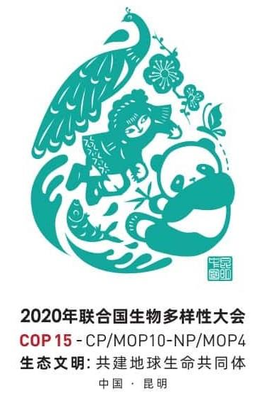 #晨報#NPE最新行動，聯想、TCL、一加、酷派、傲基科技被訴侵權；“維多利亞的秘密”還是“維吾爾族的秘方”？｜結案信息
