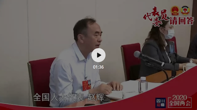 全國人大代表代表趙輝：搞好知識產權，才能占領高端市場