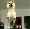 【端午】那些年，乘風破浪的粽子里也深藏專利
