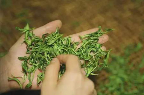 重磅！首批中國100個地理標志受歐盟保護，歐盟授權正式簽署中歐地理標志協定