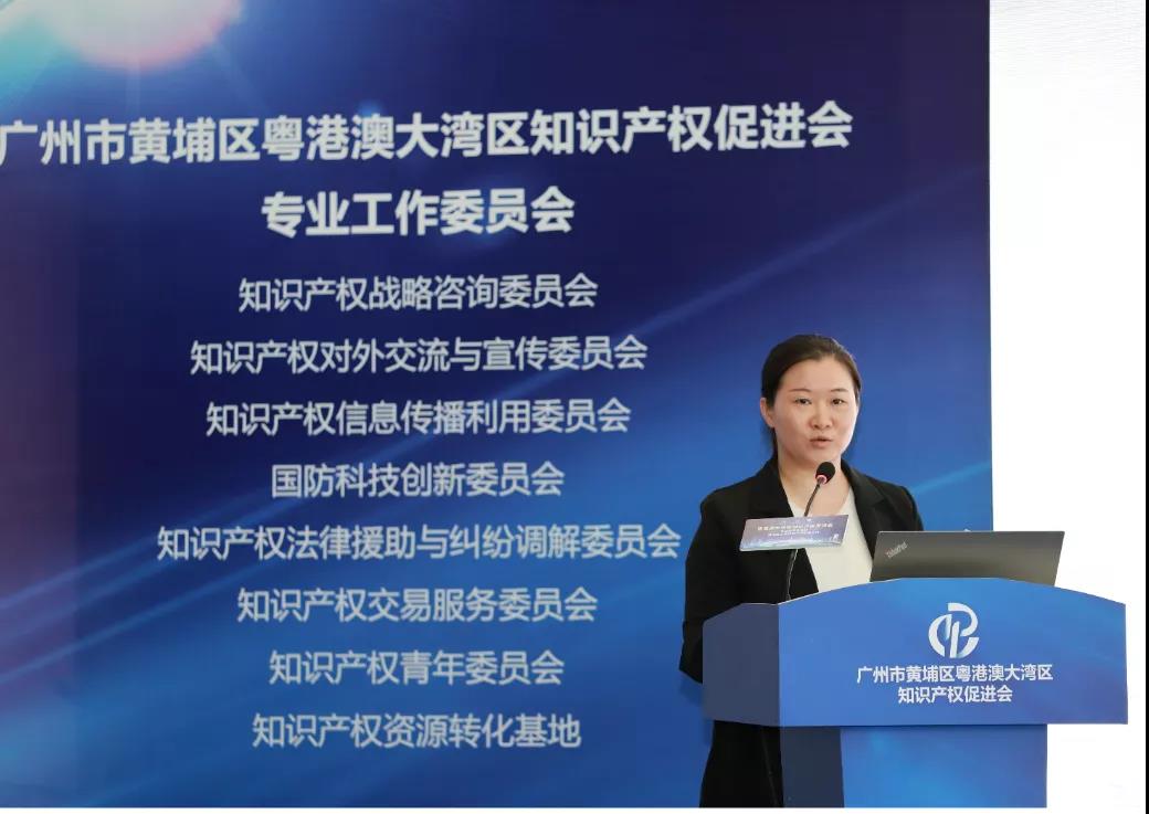 官宣！粵港澳大灣區知識產權促進會專業委員會成立授牌暨灣區三地知識產權制度巡講活動成功舉辦