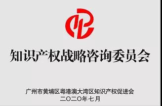 粵港澳大灣區知識產權促進會專業工作委員會介紹及入會流程