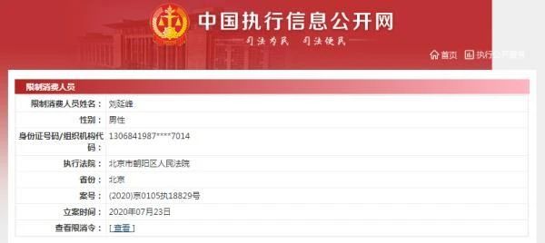 涉知識產權合同糾紛，樂視網董事長劉延鋒被限制消費