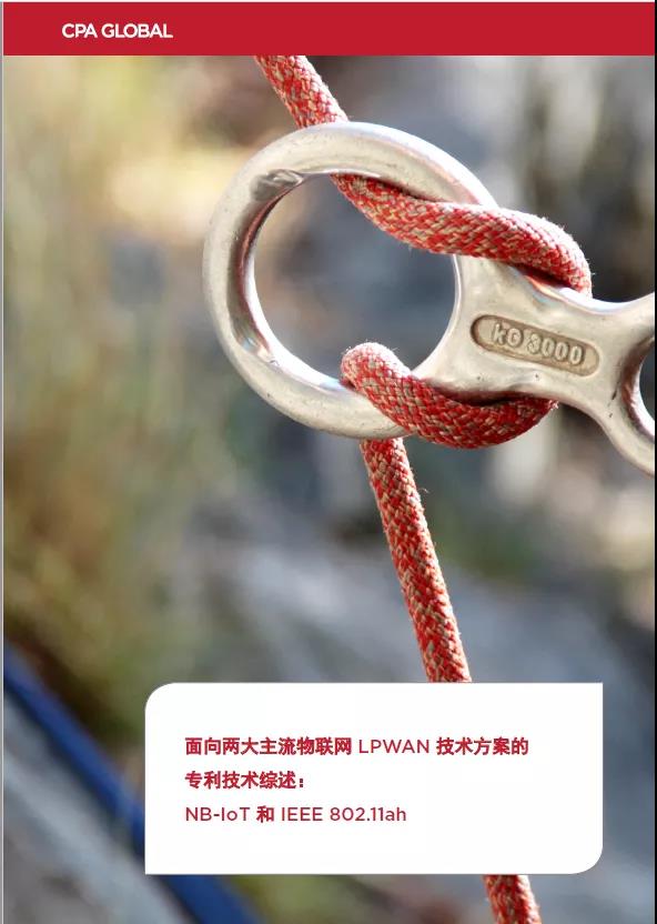 思保環球（CPA Global）專家為您剖析物聯網技術玄機