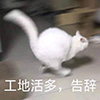 “冬天的第一頓火鍋”來了！麻辣燙、羽絨服、西北風紛紛湊熱鬧