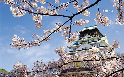 日本專利局發布高關注度技術專利及市場動向調查