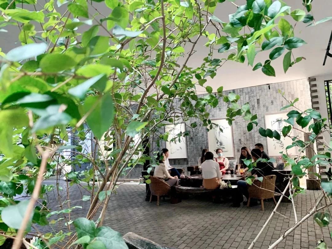 見字不如見面 | 下一站·廣東省佛山市！IPRdaily內容線下小聚（深圳站）回顧
