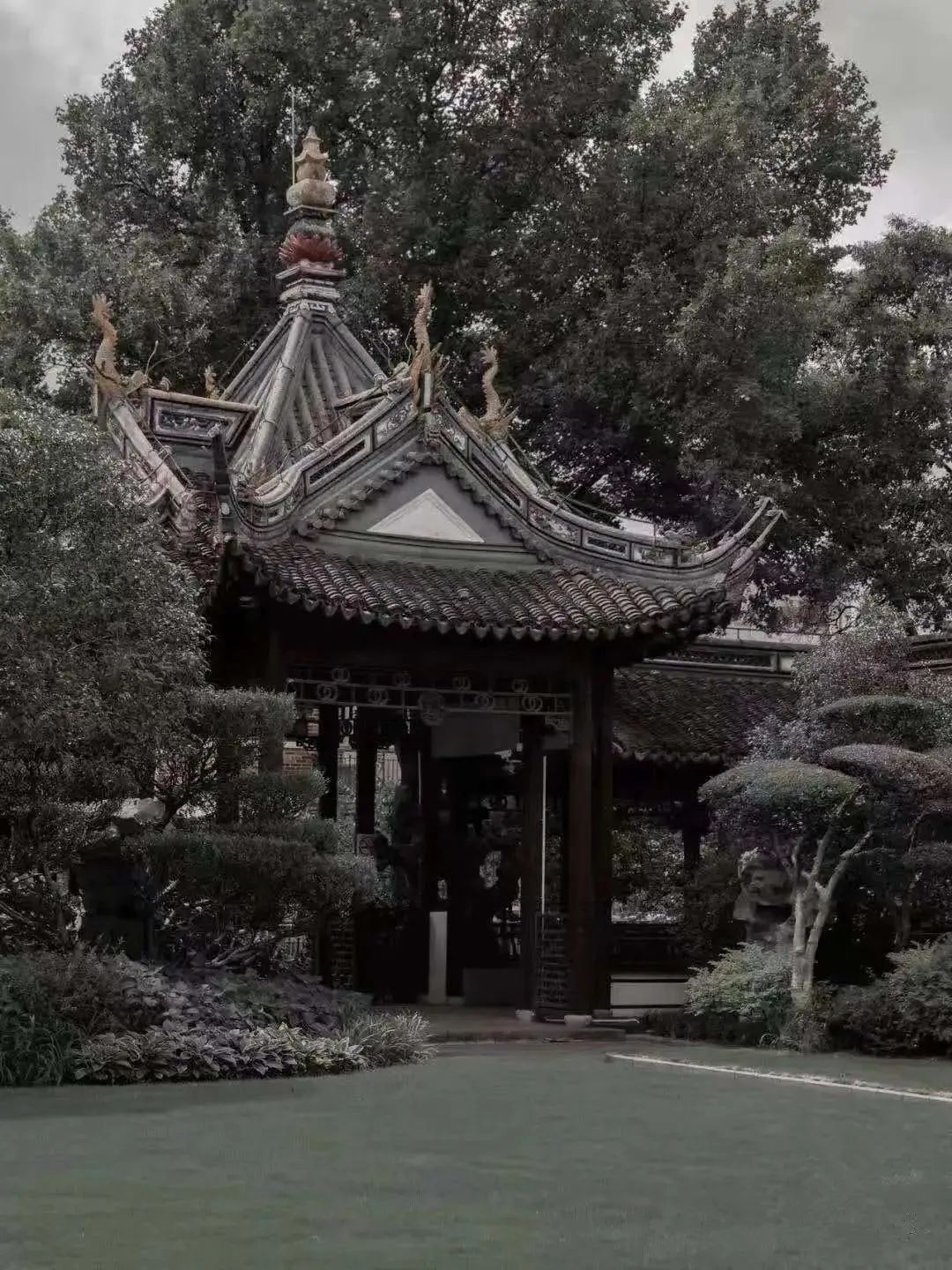 見字不如見面 | “儂好，上海IP人，我們來啦！”