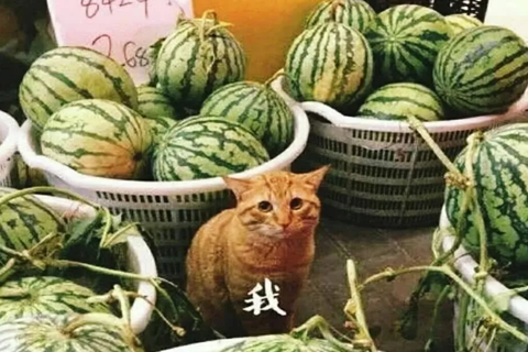“想你的液”已被注冊商標，“想你液”也在申請中！