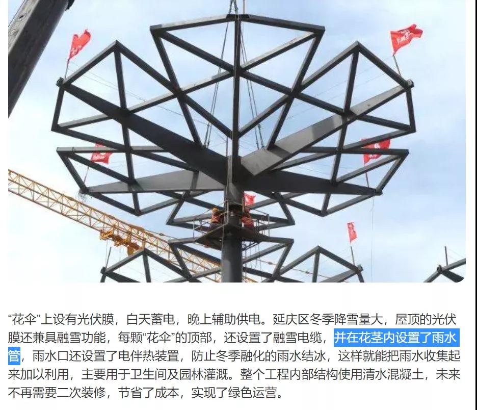 北京世園會的專利差點因新聞“搶先看”被駁回？