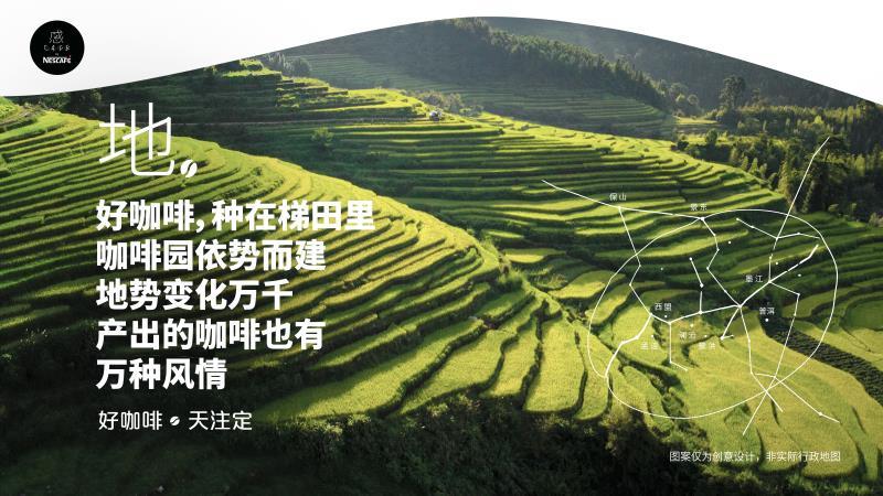 助力打造中國咖啡版圖，雀巢咖啡感CAF，新品再現云南咖啡獨特之美