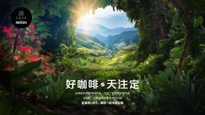 助力打造中國咖啡版圖，雀巢咖啡感CAF，新品再現云南咖啡獨特之美