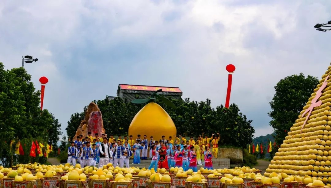 打“卡”地圖的IP解析（三）| 尋味地理標志—梅州柚樹興，農人日子旺?