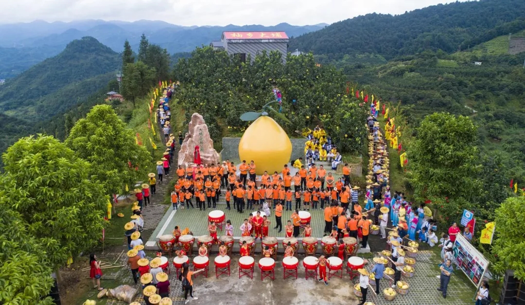 打“卡”地圖的IP解析（三）| 尋味地理標志—梅州柚樹興，農人日子旺?
