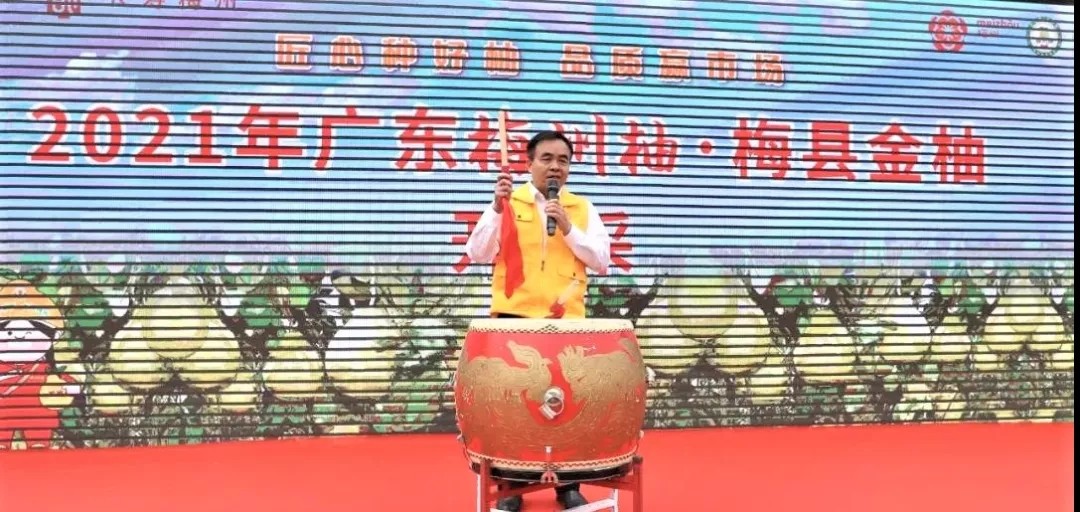 打“卡”地圖的IP解析（三）| 尋味地理標志—梅州柚樹興，農人日子旺?
