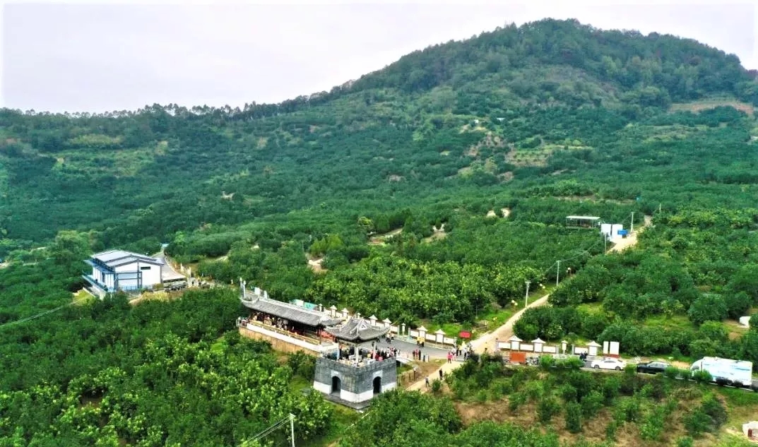 打“卡”地圖的IP解析（三）| 尋味地理標志—梅州柚樹興，農人日子旺?